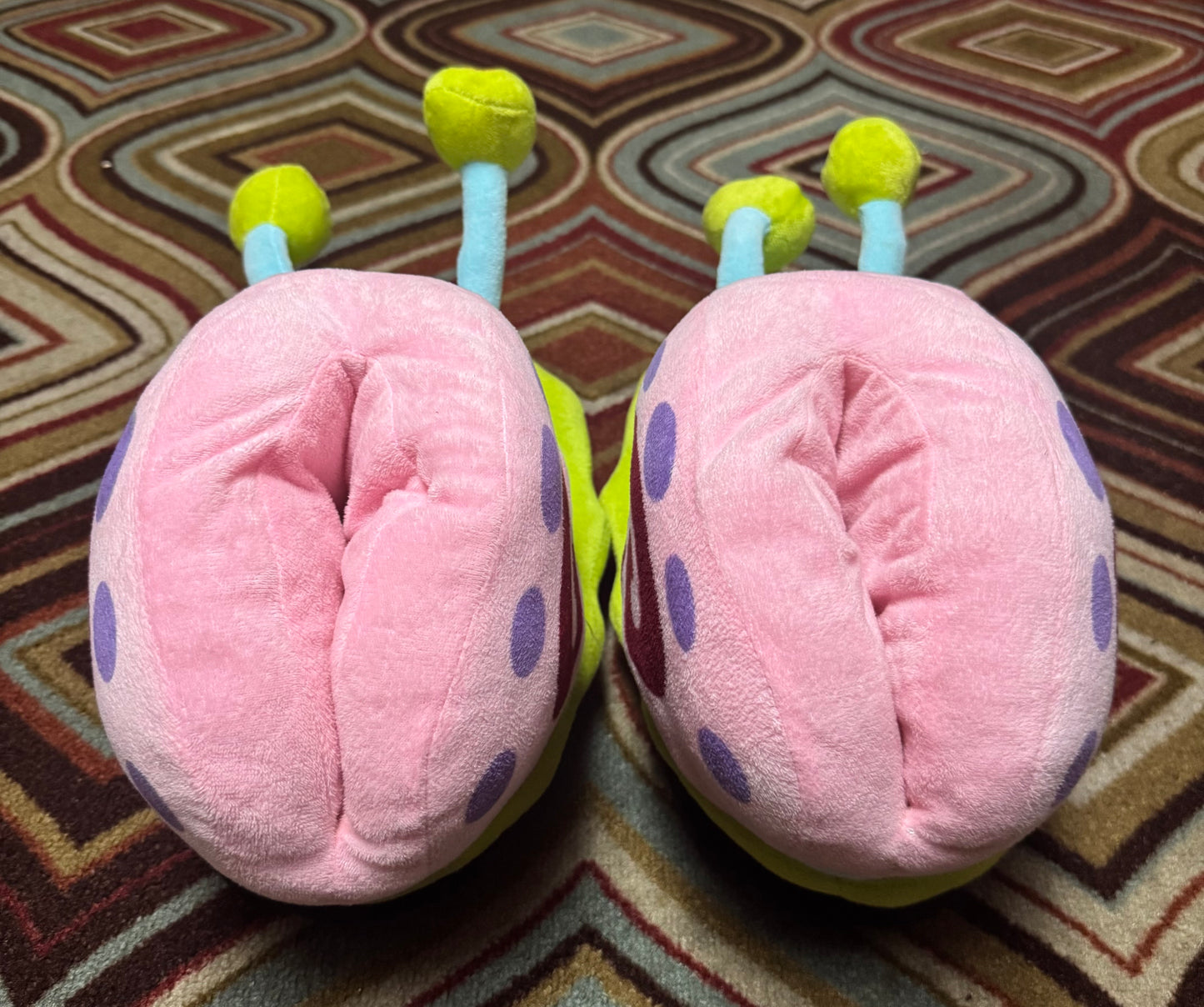 Snaily Gary Slippers